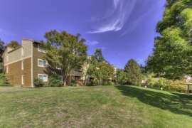 Resource Real Estate Opportunity REIT II Acquires Breckenridge Apartment Homes